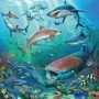 Puzzle Lumea Subacvatica, 3X49 Piese Ravensburger - 3